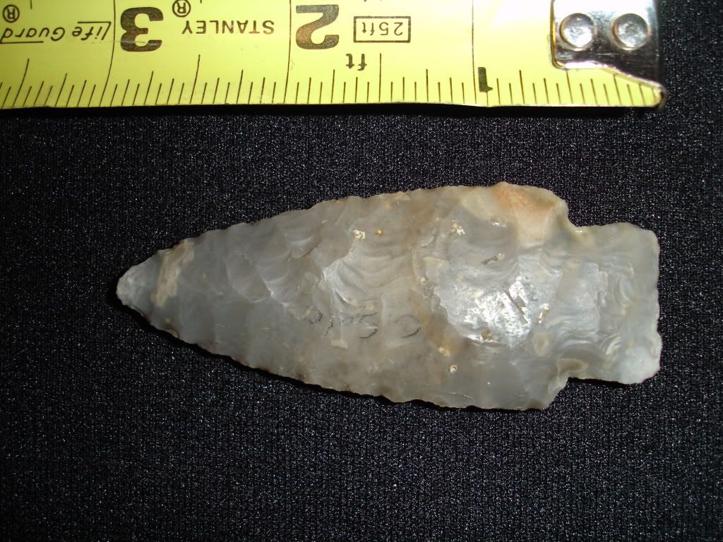 DSC01308.jpg