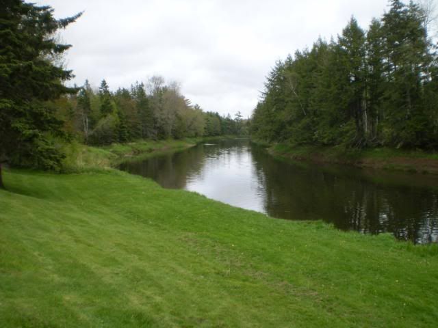PA120012.jpg