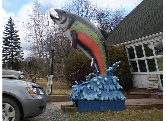 fish.jpg