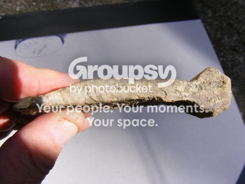 2008_1008bone0001.jpg