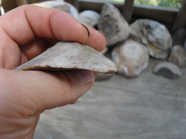 SDC10357.jpg