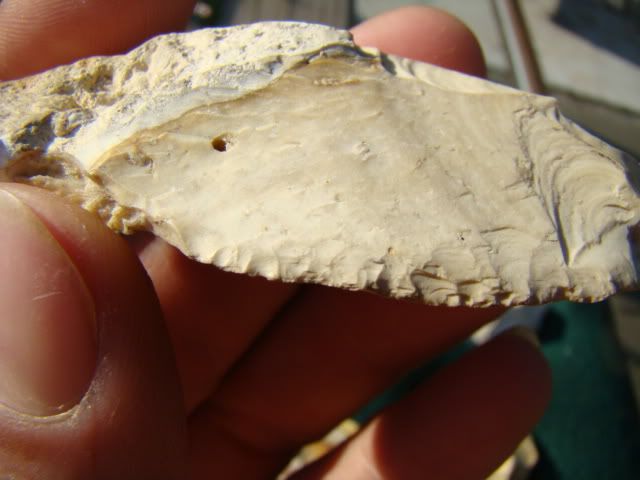 DSC06711.jpg