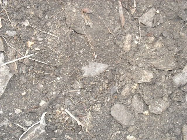 SDC10002.jpg