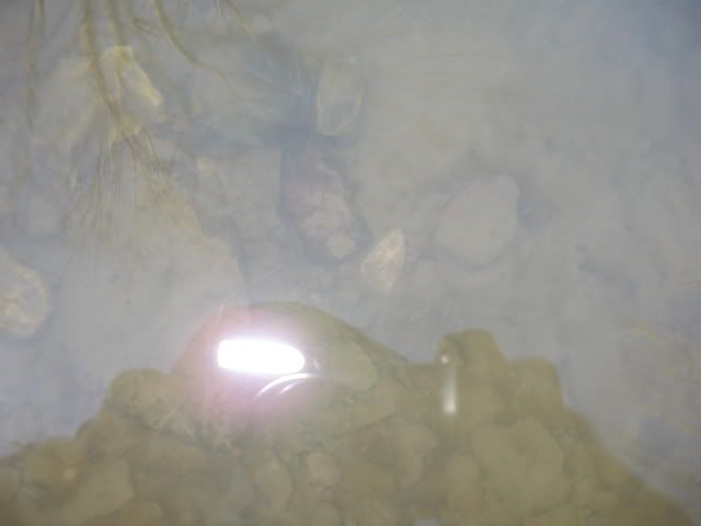 02-25-2009003.jpg