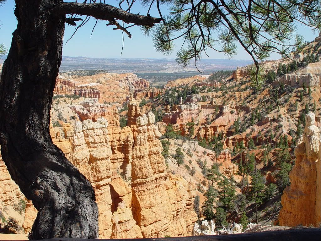 DSC02310-1.jpg