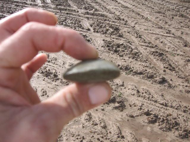 arrowheads5-14-09010.jpg