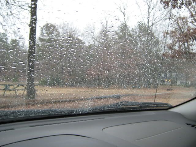 12-14-10.jpg