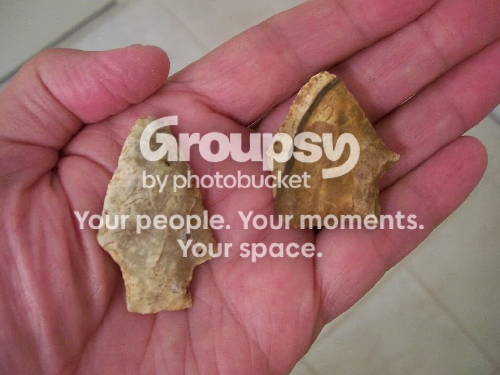 100_5044.jpg