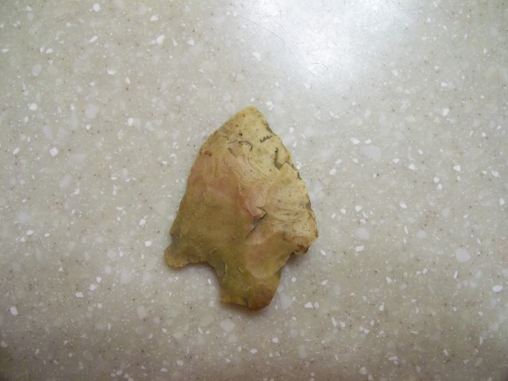 100_4696.jpg