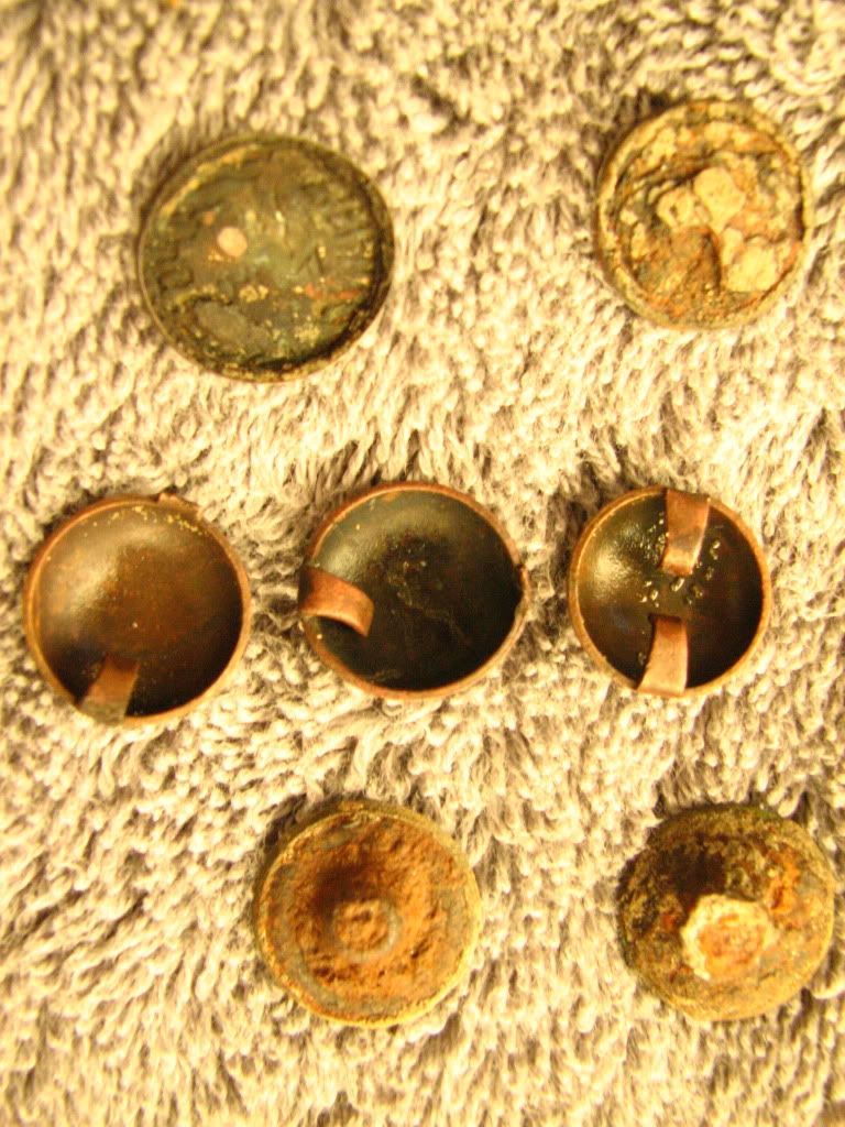 buttonsback.jpg