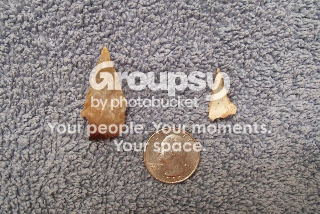100_5112.jpg