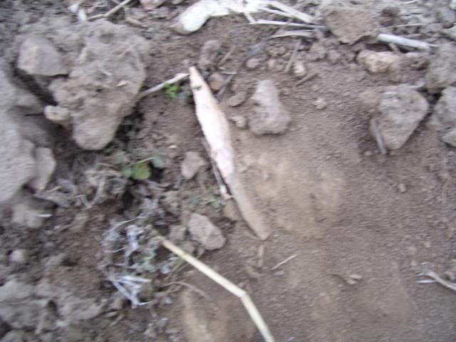 100_1088.jpg
