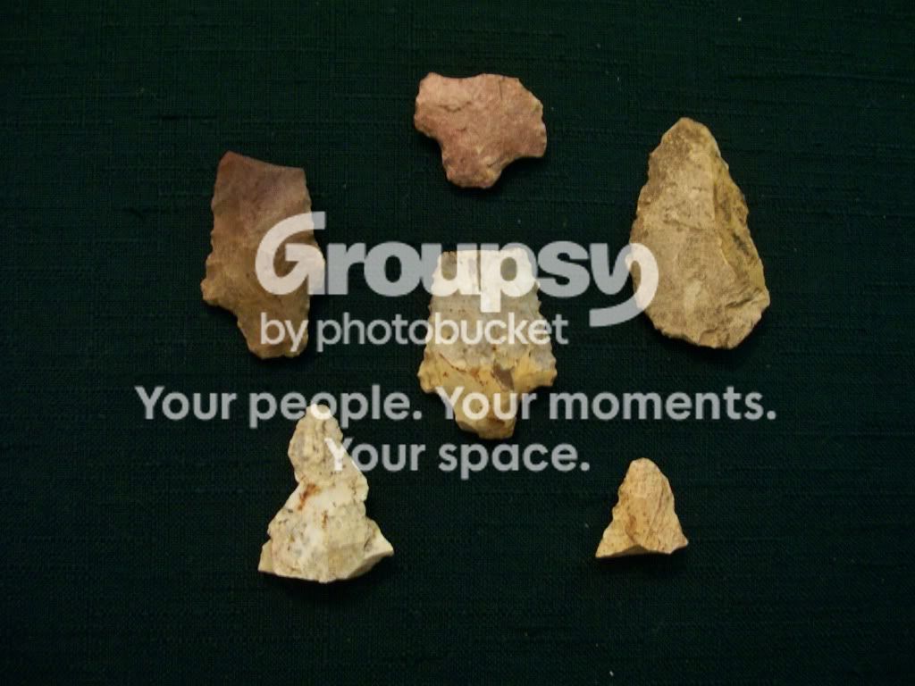 100_4118.jpg