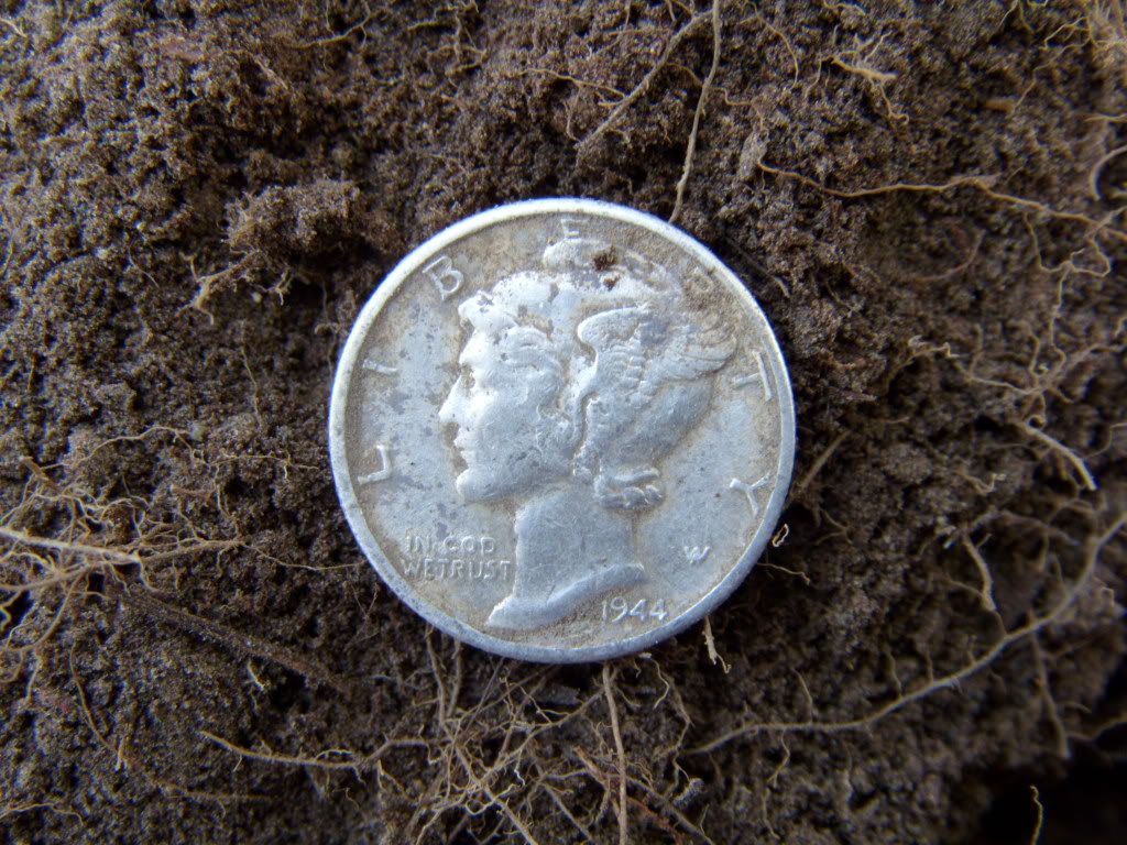 SI850306.jpg