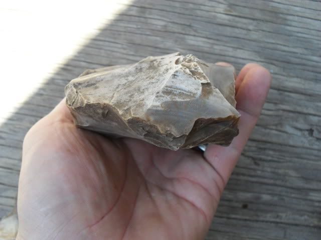 SDC17451.jpg