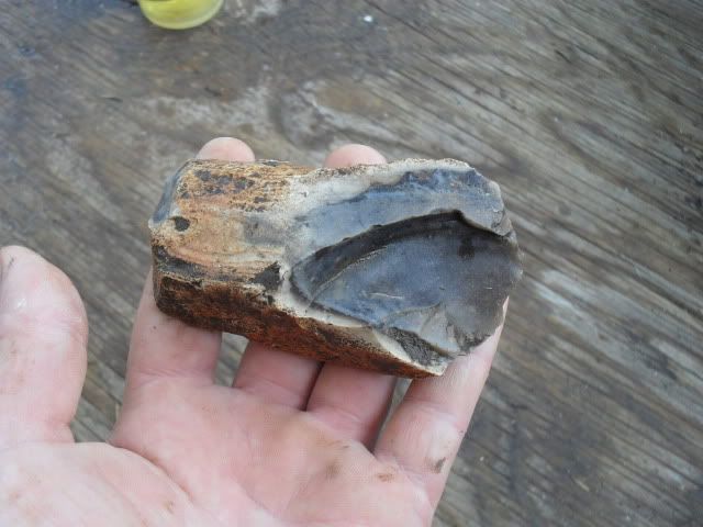 SDC10524.jpg