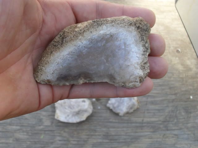 SDC10476.jpg