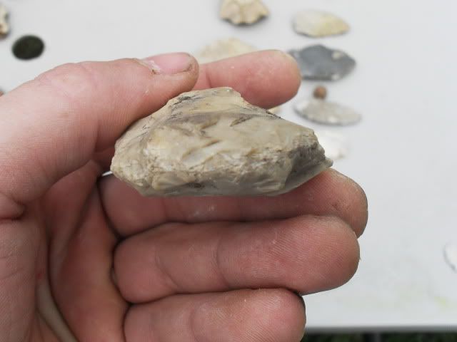 SDC11480.jpg