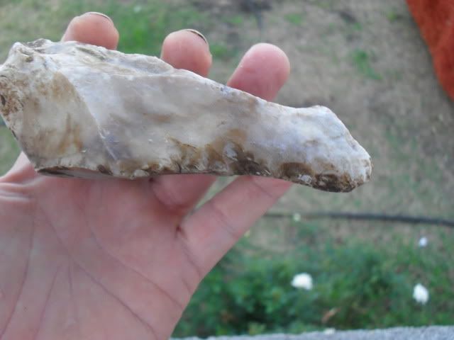 SDC10081.jpg