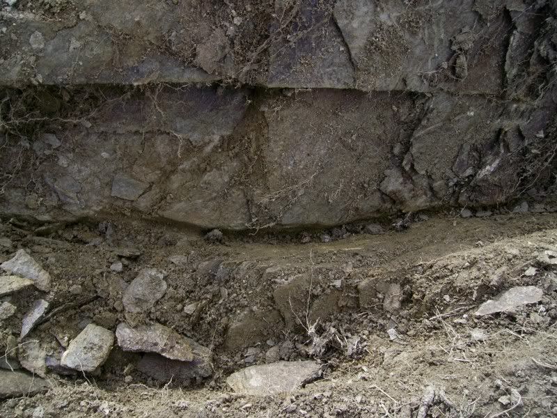 tobinsgoldinschistcrevice.jpg