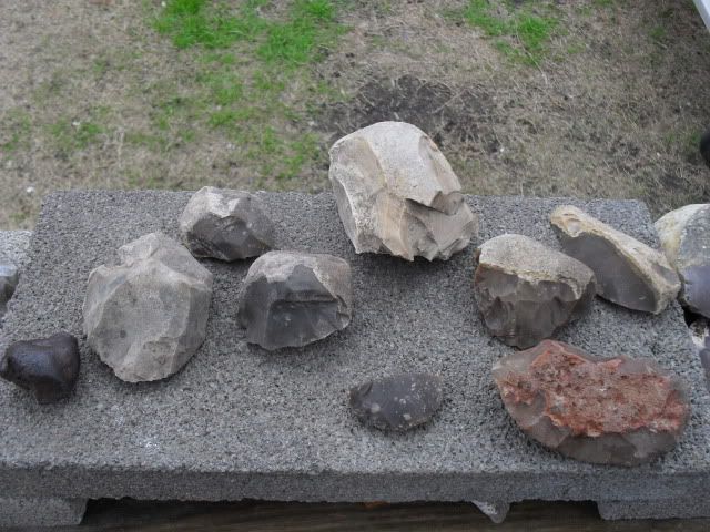 SDC10377.jpg