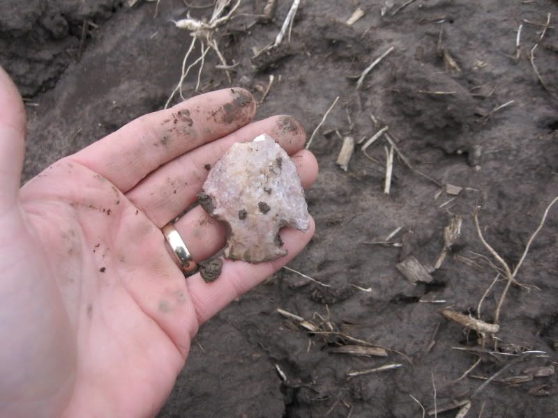 02-27-2009fieldhunt015.jpg
