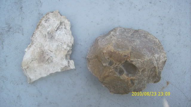 DSCI0014-1.jpg