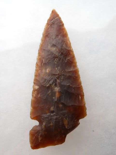 DSCN2275.jpg