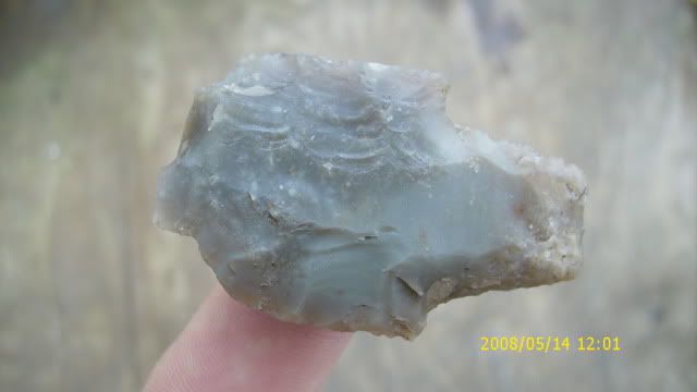 DSCI0820.jpg