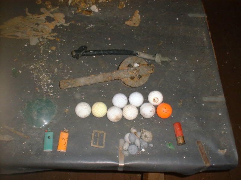 3312beachfinds.jpg