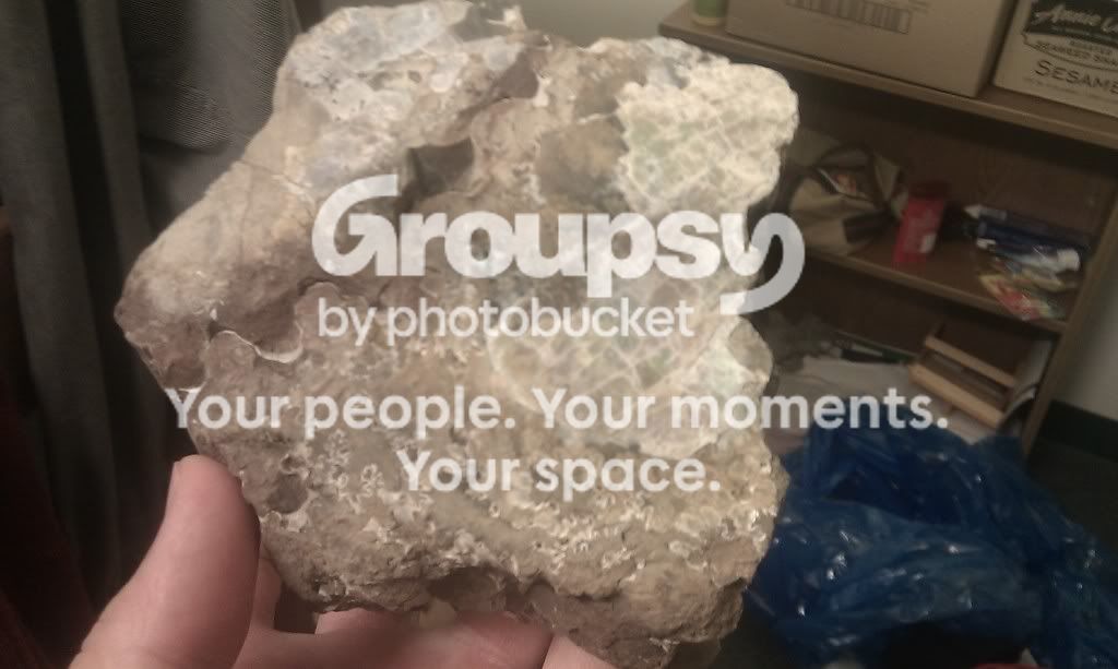 IMAG0345.jpg