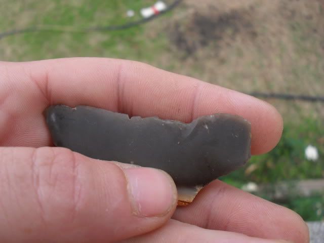 SDC10113.jpg