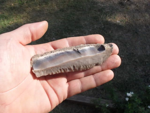 SDC10704.jpg
