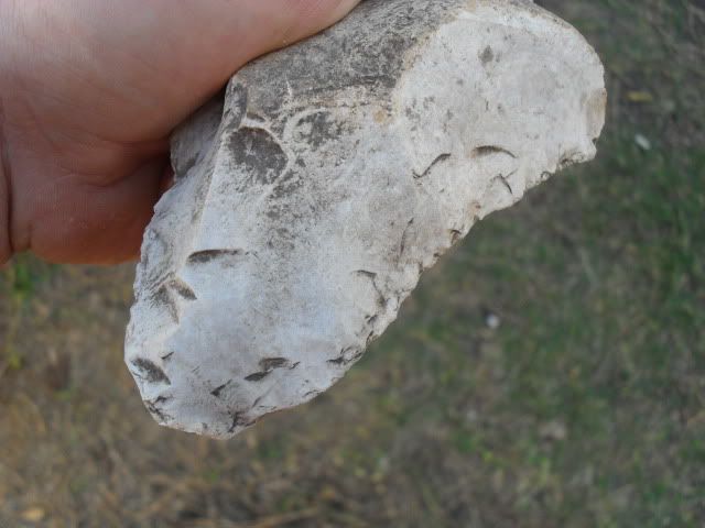SDC10930.jpg