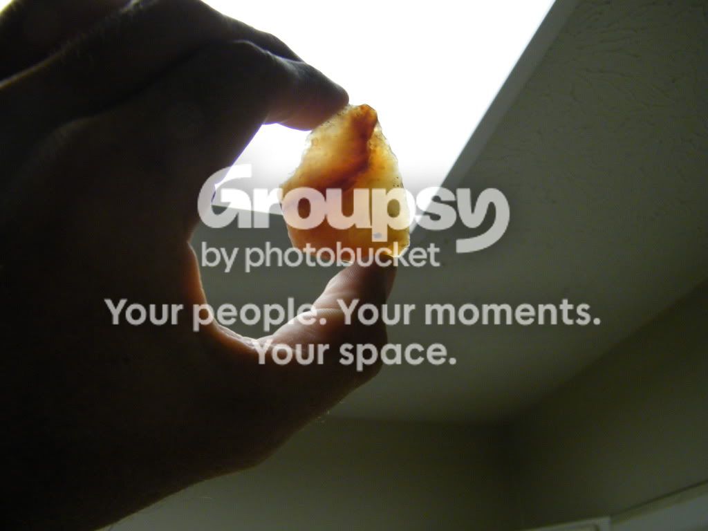 greg-rocksartifactcollection428.jpg
