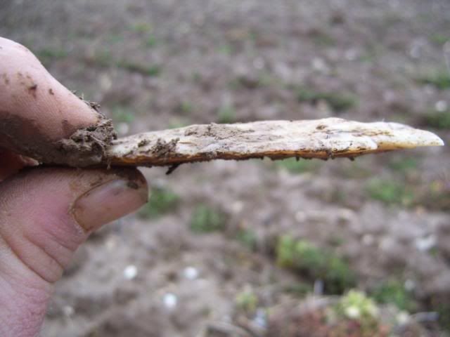 100_1140.jpg