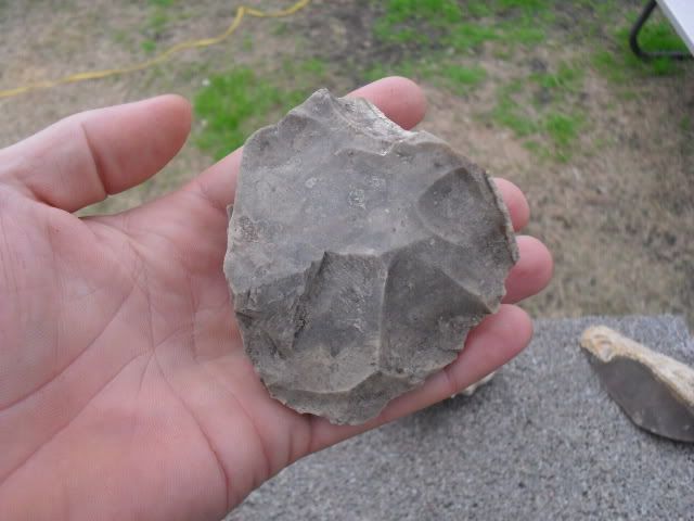 SDC10393.jpg