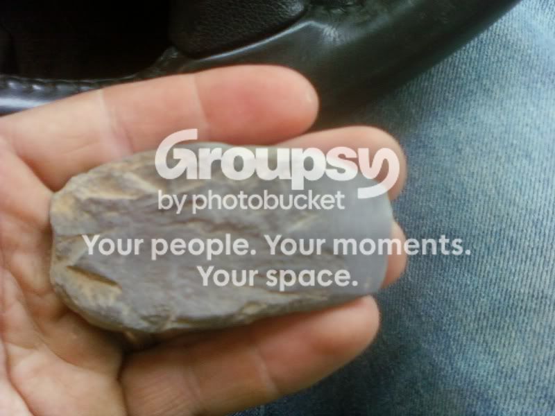 img1264540650452.jpg