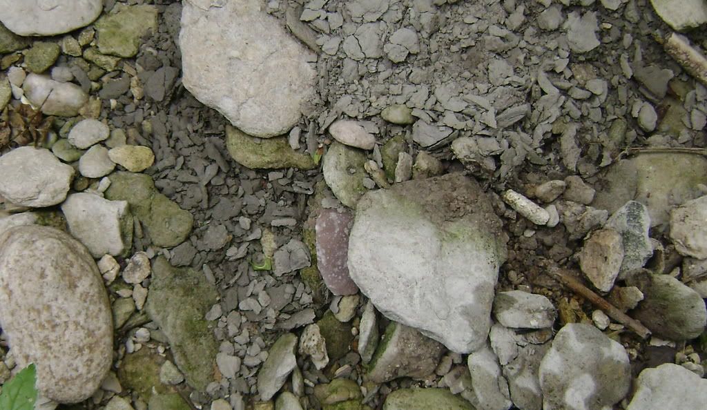 May2108Quartzscraperinsitu.jpg