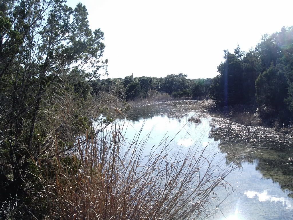 IMAG0026.jpg