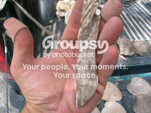 DSCN0868.jpg