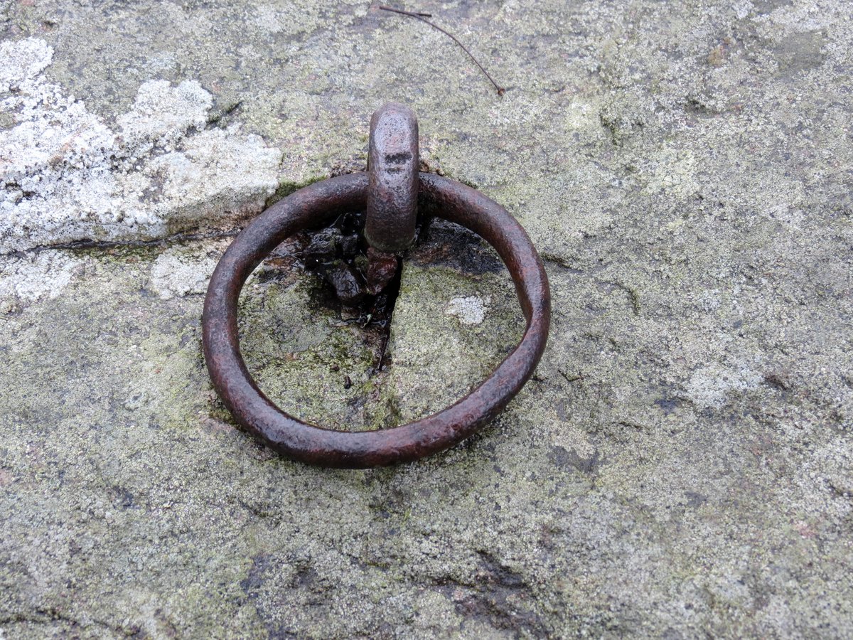 2-hitching-ring.jpg