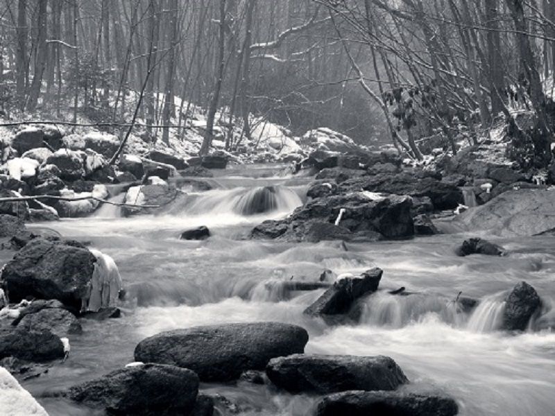 millcreek2-3-13041-1.jpg