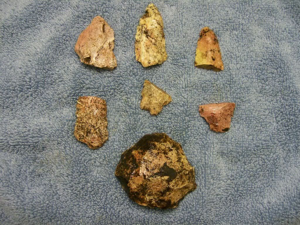 100_3101.jpg