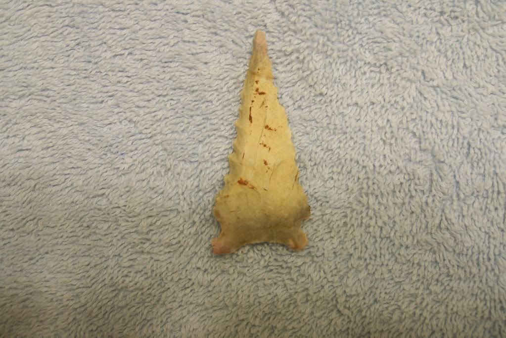 100_3920.jpg