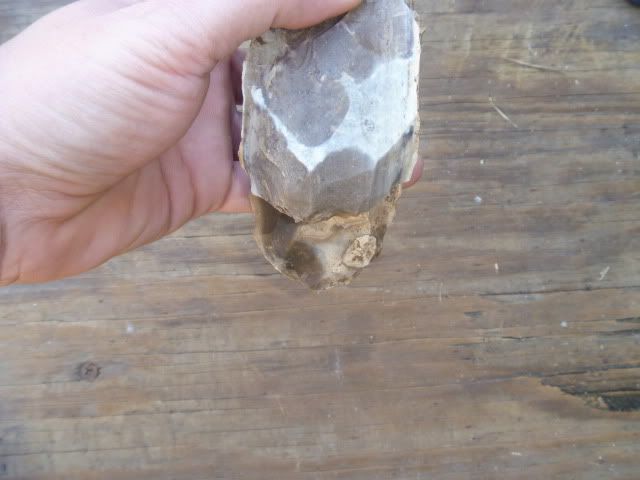 P1010180.jpg