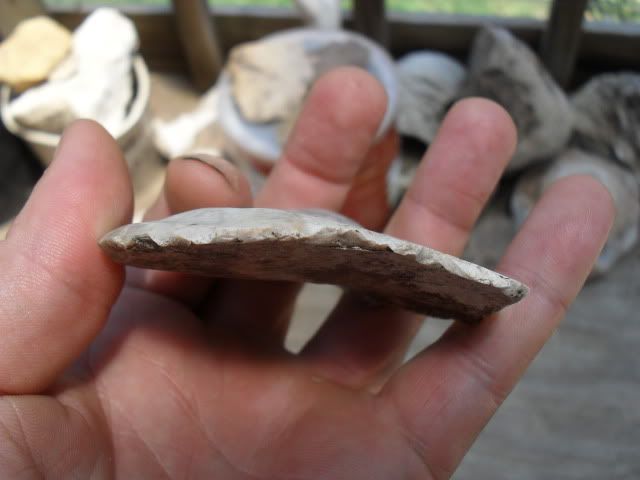 SDC10355.jpg