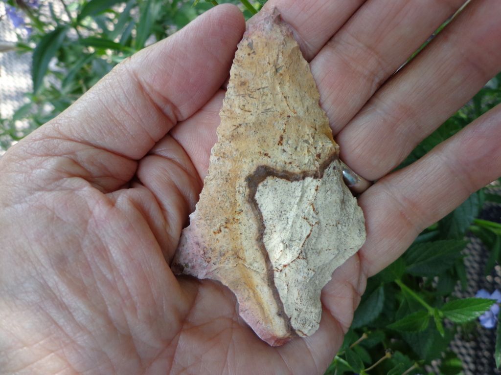 DSC00095.jpg