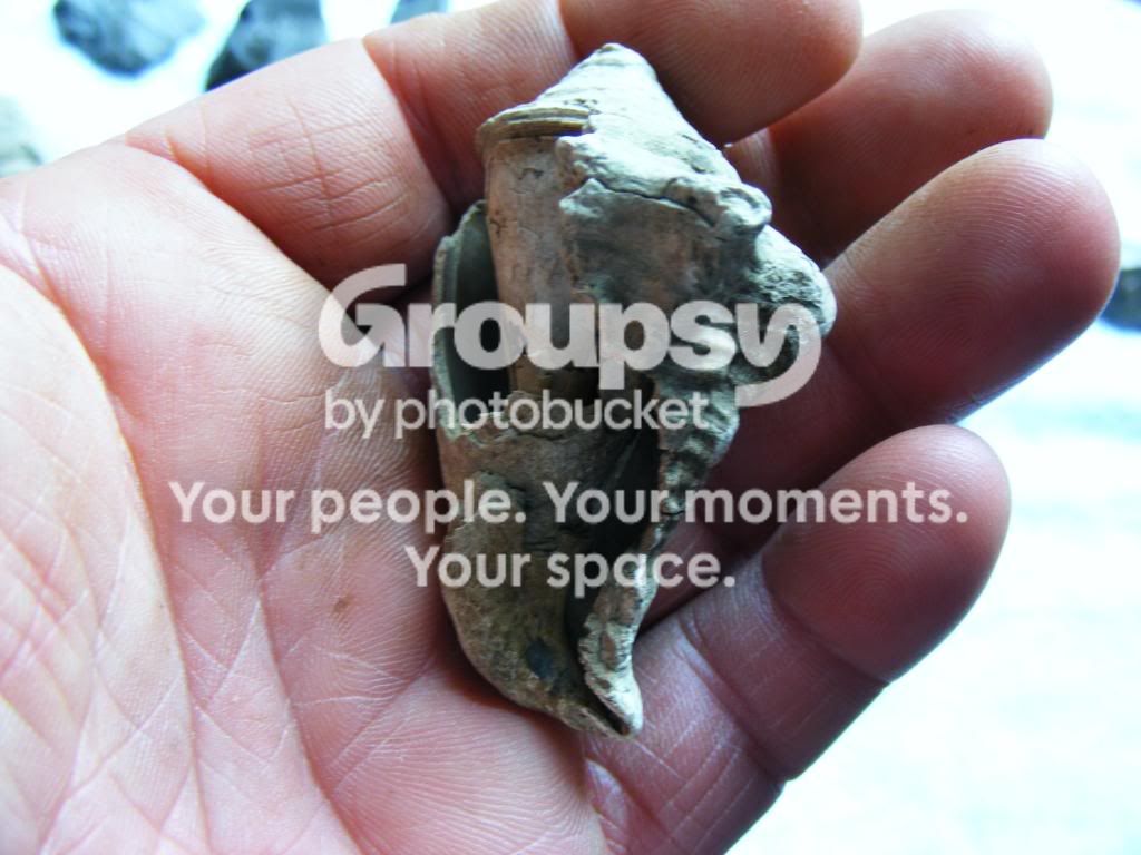 2009_0903box30050.jpg