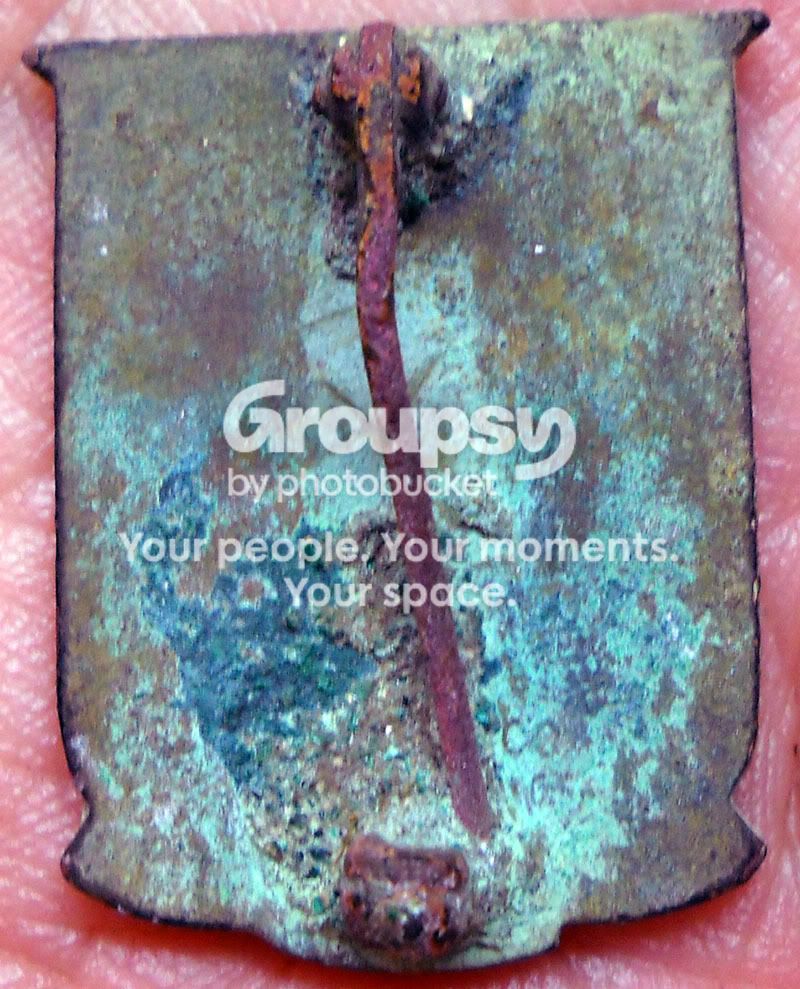 42310_PinBack.jpg